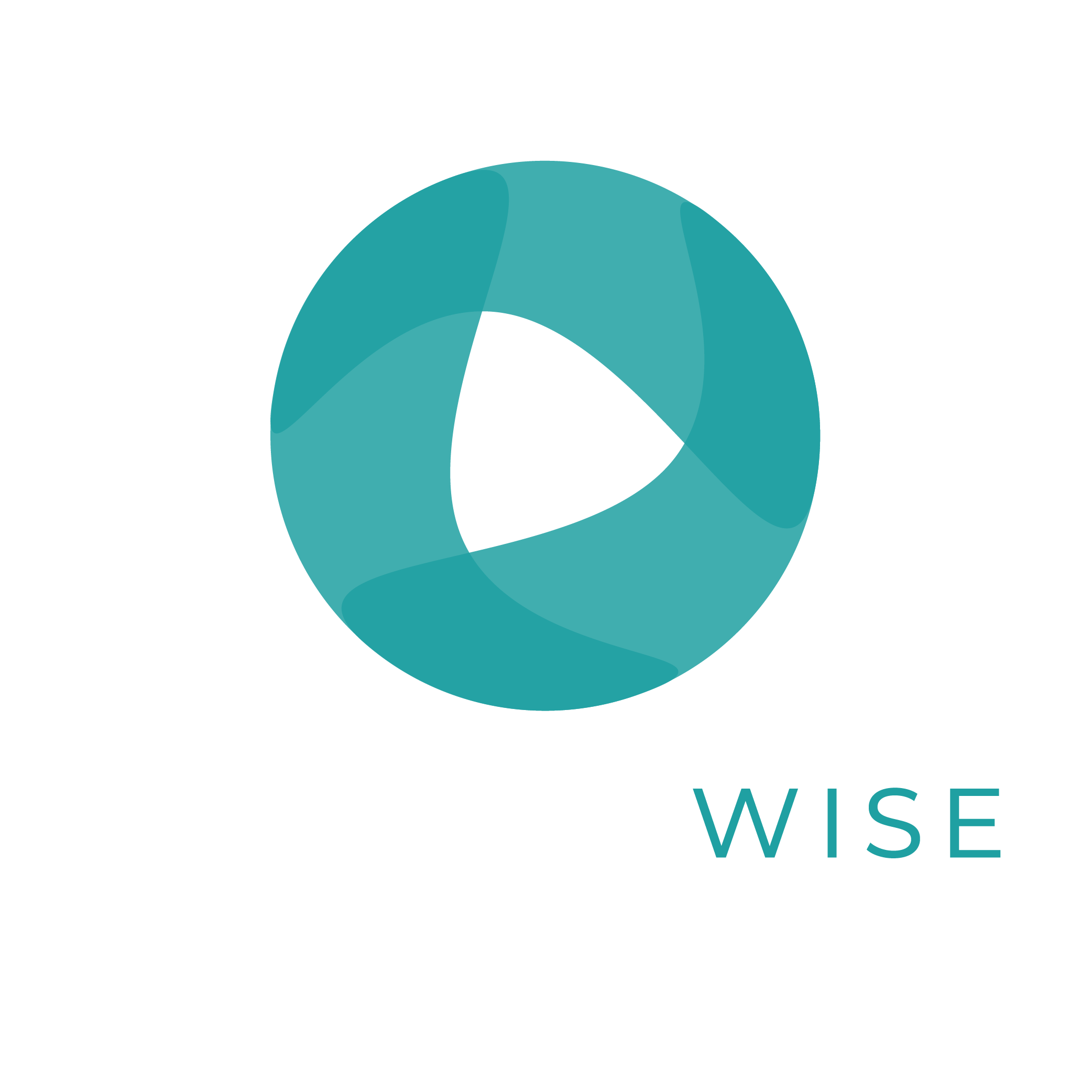 Concept Wise Final Logo_W