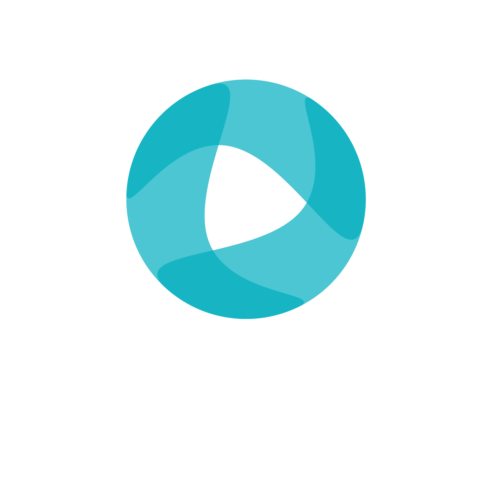 Conceptwise Logo File-03